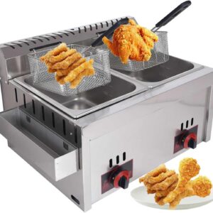 Friteuse à gaz professionnelle 10 L x 2 acier inoxydable - Friteuse commerciale butane propane avec température réglable